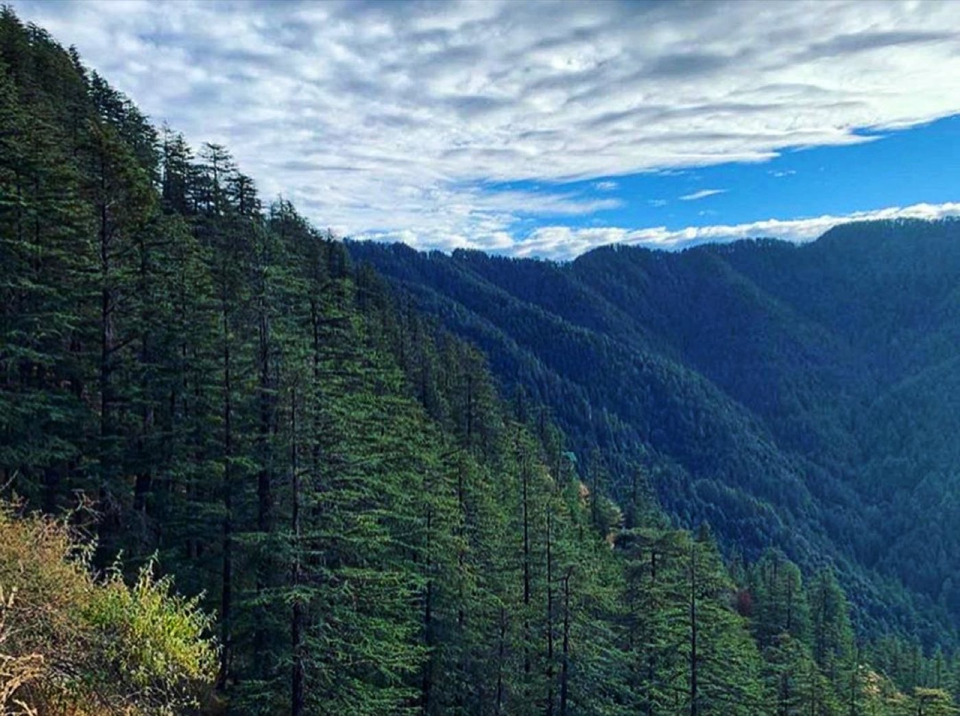 Manali